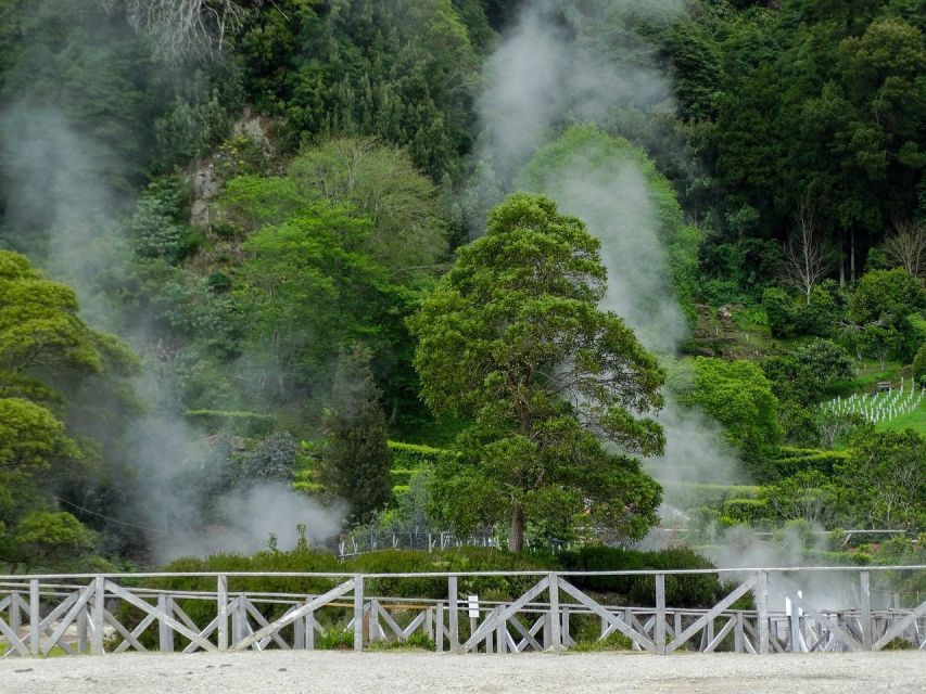 Furnas: Thermal Springs & Tea Plantation Day Tour with Lunch - Furnas boilers and caldeiras vulcânicas: the steam-and-rock reality check
