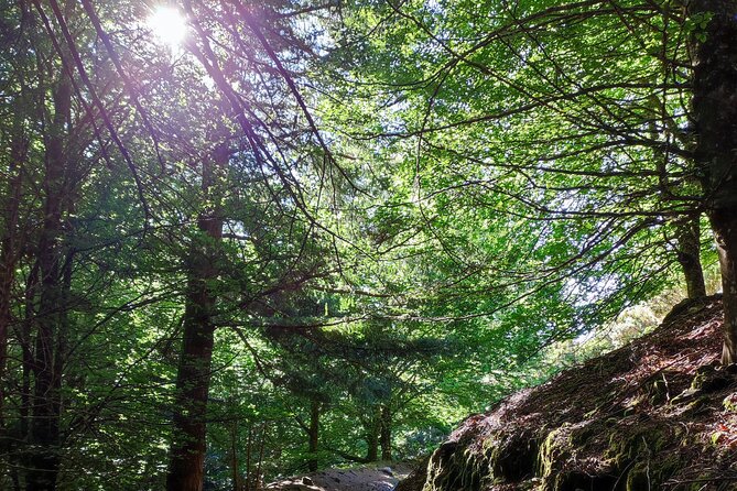Gastro hike (Private Tour) - A Madeira day that mixes trail time and food time