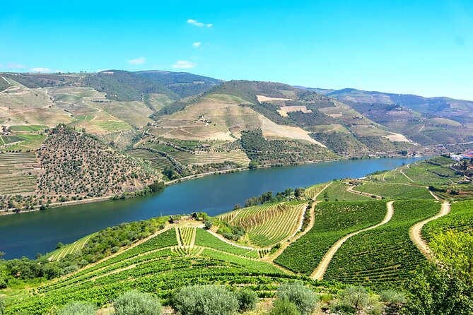 Genuine Douro Valley Tour: Visit 2 Wineries, Lunch & River Cruise - Morning pickup in Porto and the N222 drive with big-view timing