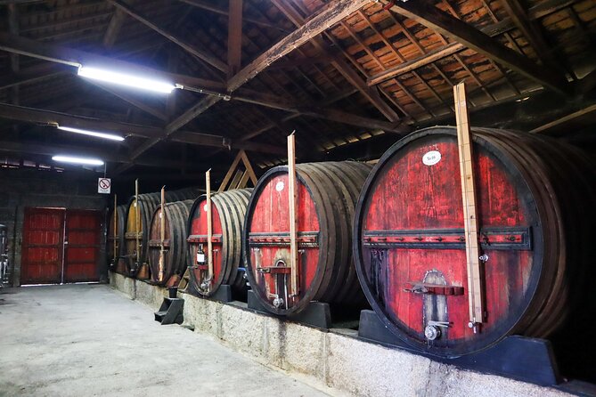 Genuine Douro Valley Tour: Visit 2 Wineries, Lunch & River Cruise - Pinhão’s tiled railway station: culture break without feeling rushed