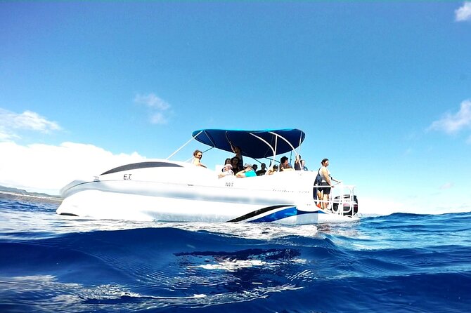 Glass Bottom Boat Tour & Snorkeling in São Miguel, Azores - What to Bring: Don’t Show Up in Summer Clothes Only