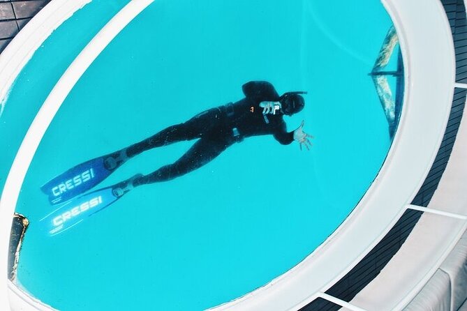 Glass Bottom Boat Tour & Snorkeling in São Miguel, Azores - Quick Reality Check: Weather, Flexibility, and Comfort