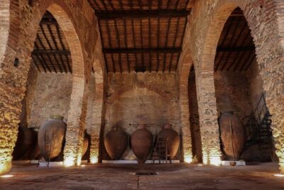 Grande Prova Honrado Vineyards - Where you meet and how the tour flows without rushing you