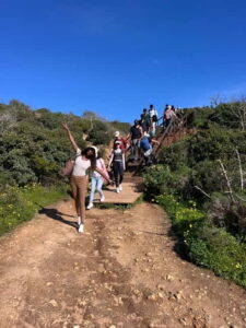 Guided hiking tour on the Seven Hanging Valleys Trail - Where the Best Views Start: Praia da Marinha and the Heart Arches