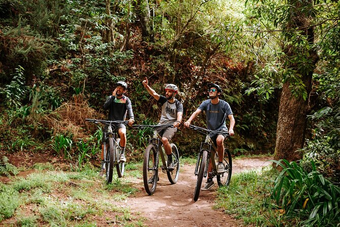 Guided Tour Electric Mountain Bike Experience - Key highlights to know before you go