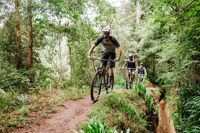 Guided Tour Electric Mountain Bike Experience - What this e-bike tour is really like