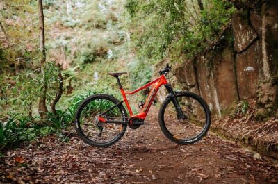 Guided Tour Electric Mountain Bike Experience - The KTM Macina Ride 291 with Bosch: why it changes everything