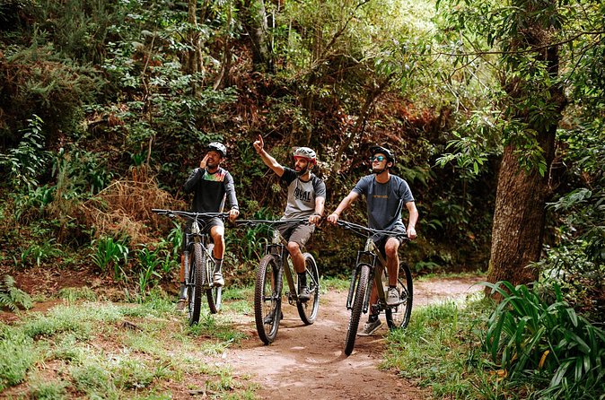Guided Tour Electric Mountain Bike Experience - Madeira’s south-side levada-style route: why the scenery hits