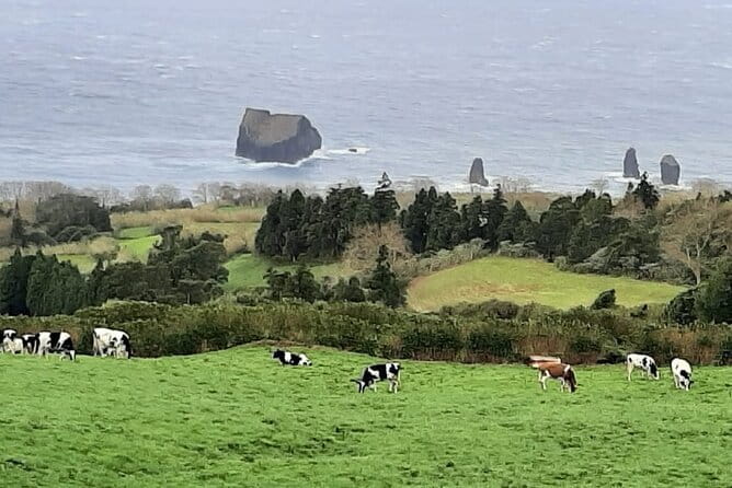 Guided Visit to the Crater and Volcano of Lagoa das Sete Cidades - Pineapple greenhouses at Plantacao de Ananas dos Acores: plan to enjoy the story