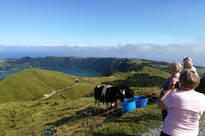 Half Day 4x4 Private tour from Ponta Delgada Azores - Furnas: fumaroles, hot and fresh springs, and the plate cooked underground