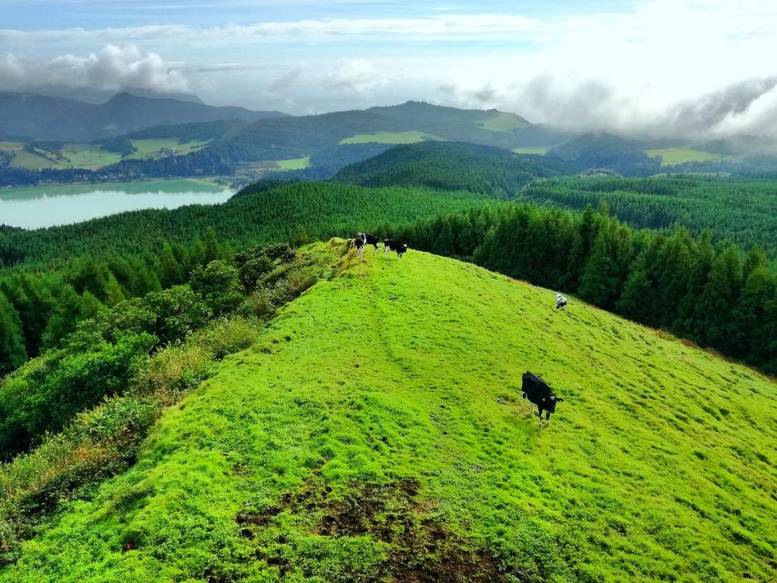 Half-Day 4X4 Tour Sete Cidades. Off the beaten Track. - Price and Value: Is $56 for 3.5 Hours Fair?