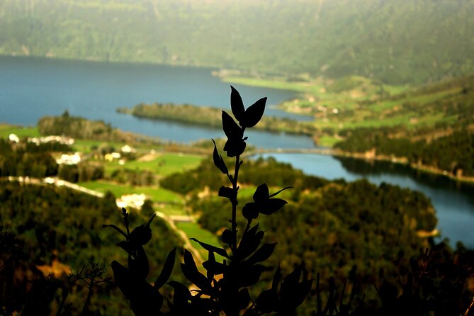 Half-Day 4x4 Tour to Lagoa das Sete Cidades - What to expect when it’s foggy, rainy, or windy