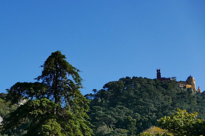 Half day adventures in the Sintra mountain - Stop 5: Quinta da Regaleira and the initiatory-well atmosphere