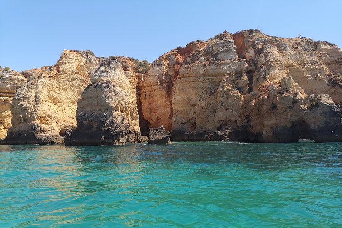 Half Day Cruise to Ponta da Piedade with Lunch and Drinks - Price Value: Does $72.59 Actually Add Up?