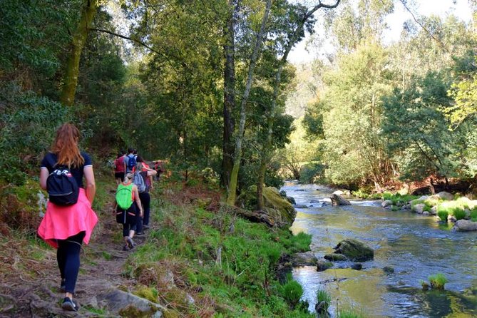 Half-day Hike & Picnic with Dog Love in Porto's Mountains - The Serras do Porto Park Hike: Pace, Terrain, and What to Expect