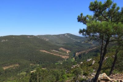 Half-day Hike & Picnic with Dog Love in Porto's Mountains - Picnic Lunch in the Hills: Real Food Beats the Usual Tour Trap
