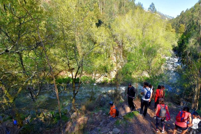 Half-day Hike & Picnic with Dog Love in Porto's Mountains - Who This Hike Suits Best (and Who Might Not)
