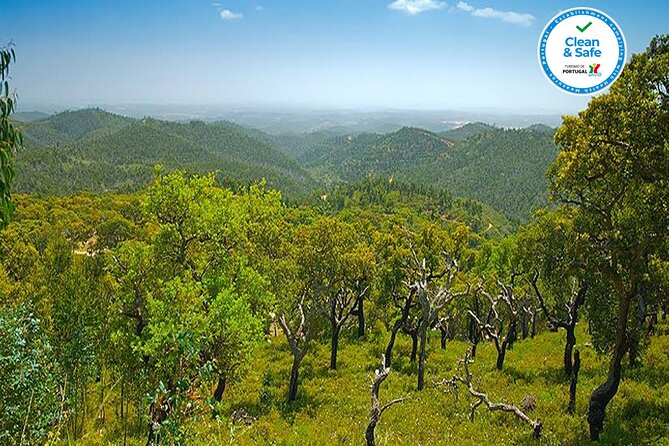 Half Day Historical Tour to Silves and Monchique - Monchique Vila: A Traditional Village Framed by Mountains