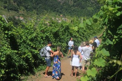 Half day jeep Wine tour and tasting, & sea cliff adventure - Sea-cliff adventure: Cabo Girão and the Skywalk moment