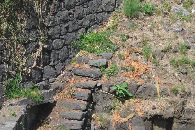Half day jeep Wine tour and tasting, & sea cliff adventure - Booking value: group size, pickups, and the “short but full” reality