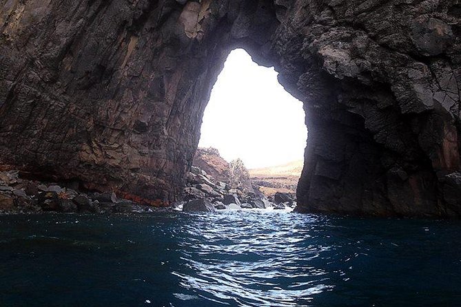 Half day kayak tours - Price and logistics: is $43.25 a good deal?