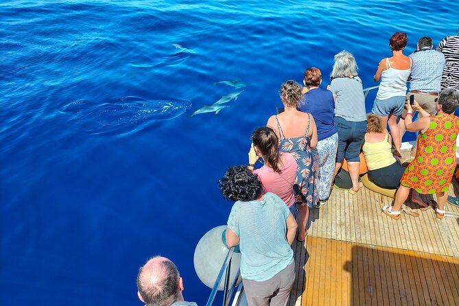 Half Day Madeira Island Cruise with Lunch - Service on the Water: Family-Run Friendly Crew and the Guide Factor