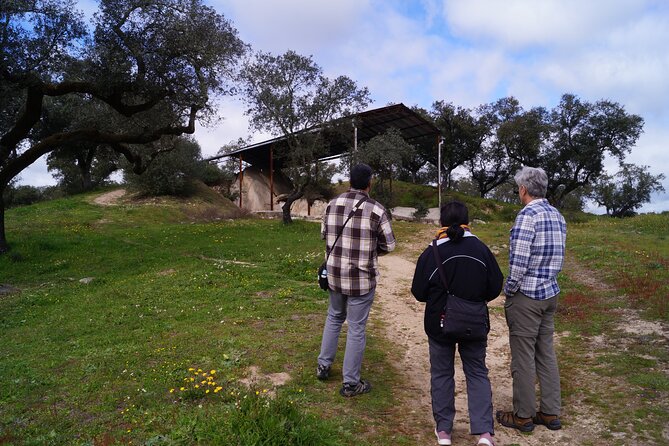 Half Day Megaliths Cromlech Tour from Evora by Archaeologists - The Menir of Almendres path: short walk, real footing issues