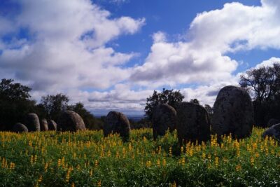 Half Day Megaliths Cromlech Tour from Evora by Archaeologists - Cromeleque dos Almendres: your first real view of Portugal’s Stonehenge label