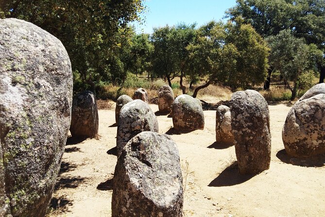 Half Day Megaliths Cromlech Tour from Evora by Archaeologists - Price and value: $78.44 is the “small-group archaeology” price tag