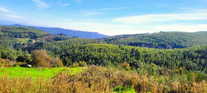 Half-Day Mountain Jeep Safari with firewater tasting - Distillery Stop and Firewater Tasting: Honey, Melosa, and Medronho