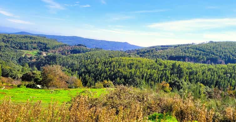 Half-Day Mountain Jeep Safari with firewater tasting - Monchique Stop: Short Walks, Photo Breaks, and Village Feel