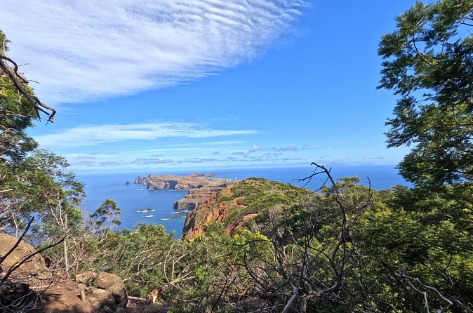 Half Day of Secrets: Madeira 4x4 Private Tour - What’s included (and how to plan your meals)