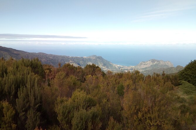 Half-Day Private Sidecar Tour on Madeira’s West Coast - The Best Fit: Who This Tour Is For