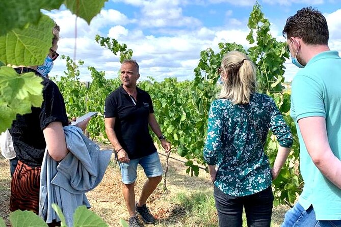Half Day Safari Tour with Wine Tasting - Passing Paderne: A Village Stop That Helps You Read the Algarve