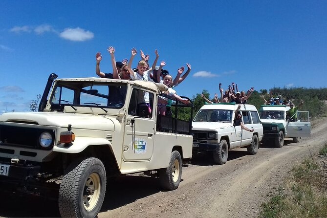 Half Day Safari Tour with Wine Tasting - Food and Timing: No Lunch Means You Should Plan Your Snacks