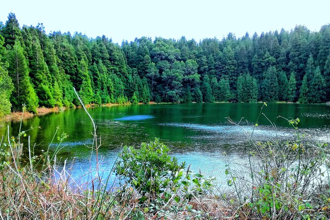 Half Day Sete Cidades Crater Minivan Tour - Who This Tour Fits Best (and Who Might Want Something Else)