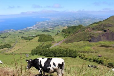 Half Day Sete Cidades PRIVATE Jeep Tour - Meet in Ponta Delgada: Pickup, Timing, and What 3 Hours Really Means