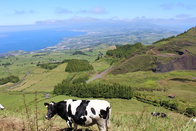Half Day Sete Cidades PRIVATE Jeep Tour - Meet in Ponta Delgada: Pickup, Timing, and What 3 Hours Really Means