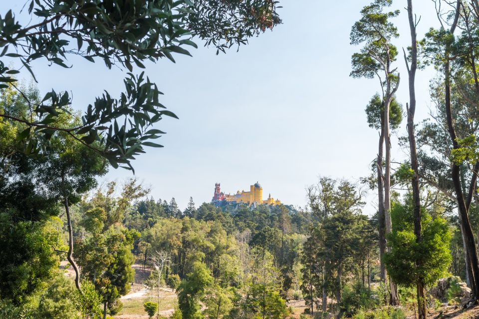 Half-Day Sintra Tour from Lisbon with Transfers - Practical tips to get the best day out of it