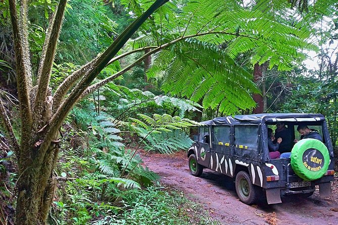 Half-Day Small-Group Madeira Village Safari from Funchal - Key things to know before you go