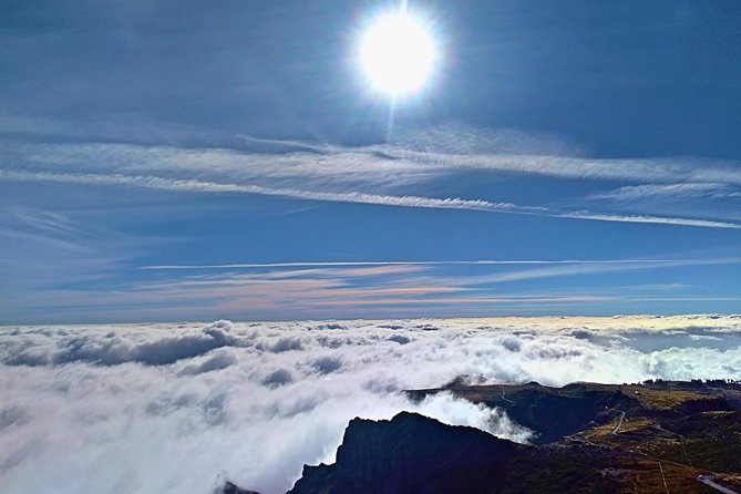 Half-Day Small-Group Madeira Village Safari from Funchal - Price and Value: What You Get for Around $53