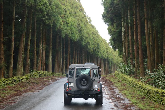 Half Day Terceira Island Tour by 4x4 - Comfort and group size: the good, the tricky, and how to plan around it