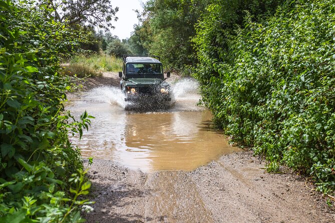 Half-day tour 4x4 West Coast of the Natural Park - Costa Vicentina natural park: responsible sightseeing that stays practical
