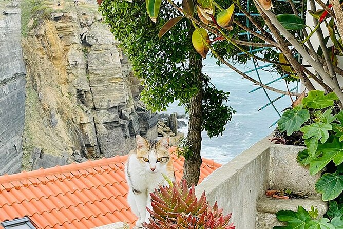 Half-Day Tour in Cascais / Sintra with Brunch and Wine Tasting - Azenhas do Mar: Cliffside Village Time for Quiet Views