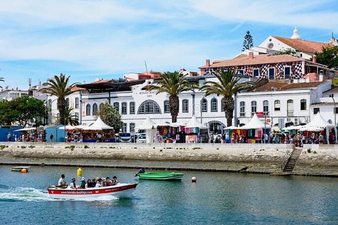 Half-Day Tour in Lagos and Sagres - Sagres Finish: Culture Talk in the Region’s Real Mood