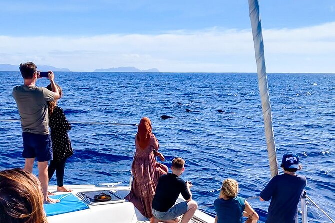 Half Day Tour on a Luxury Catamaran on Madeira Island - Who runs your day at sea: guides, captains, and communication
