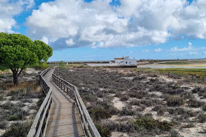Half Day Walking Tour in Ria Formosa Nature Park - Key highlights you’ll notice fast