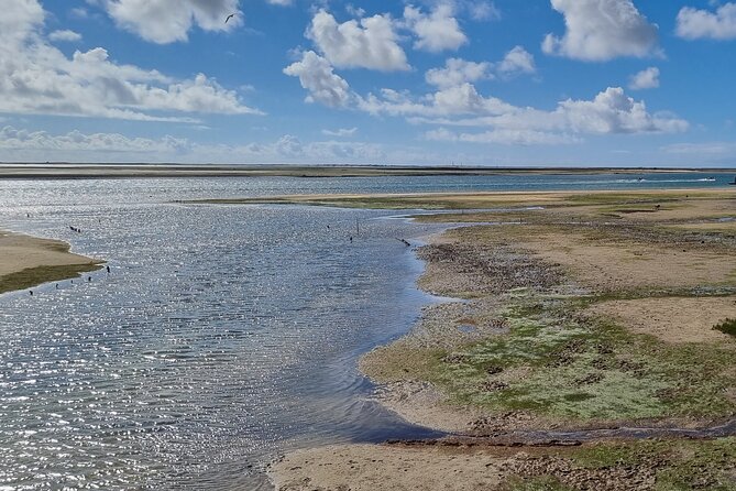 Half Day Walking Tour in Ria Formosa Nature Park - Bird spotting that’s not just luck