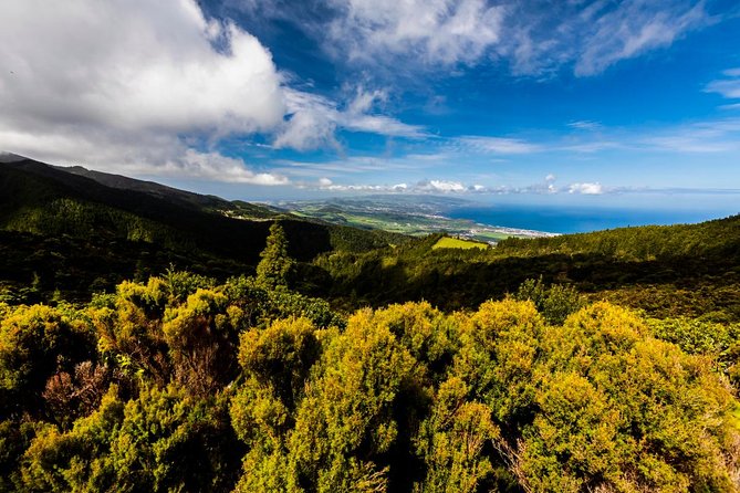 Hidden Gems of Sao Miguel Island Full Day Tour with Lunch - Why this off-the-main-road São Miguel route feels so good