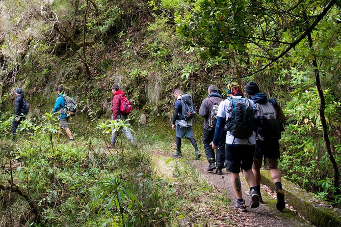 Hiking and Trekking tours in Madeira - Key Points to Know Before You Go